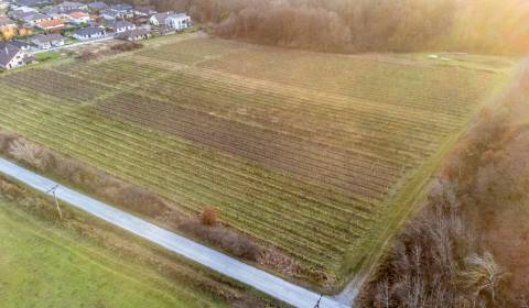 Eladó Mezőgazdasági és erdei telkek, Mezőgazdasági és erdei telkek, No