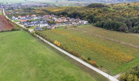 Eladó Mezőgazdasági és erdei telkek, Mezőgazdasági és erdei telkek, No