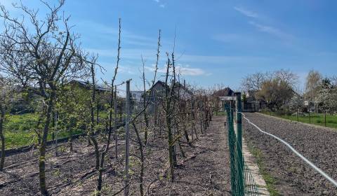 Eladó Építési telek, Építési telek, Dunajská Streda, Szlovákia