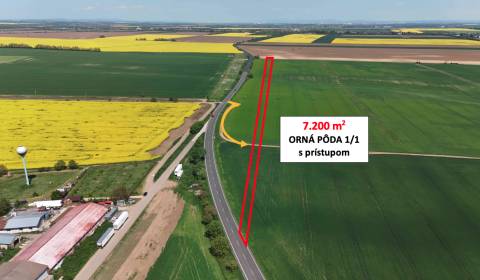 Eladó Mezőgazdasági és erdei telkek, Mezőgazdasági és erdei telkek, Se
