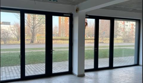Kiadó Üzlethelység, Üzlethelység, Okružná, Pezinok, Szlovákia