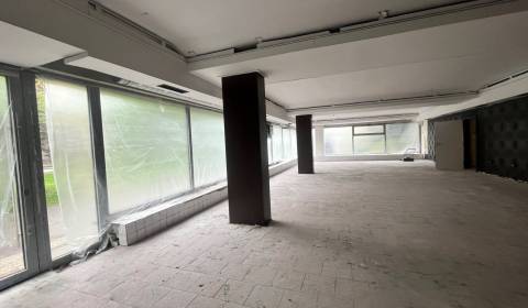 Kiadó Üzlethelység, Üzlethelység, Račianske mýto, Bratislava - Nové Me