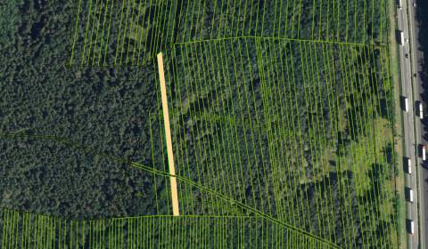 Eladó Mezőgazdasági és erdei telkek, Mezőgazdasági és erdei telkek, Ma