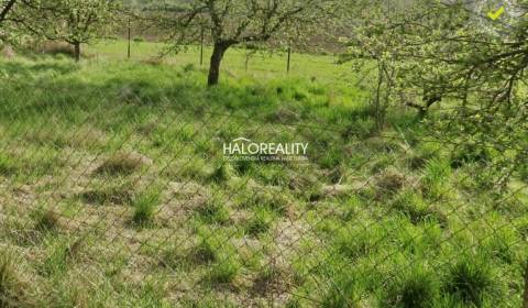 Eladó Mezőgazdasági és erdei telkek, Púchov, Szlovákia