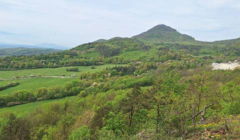 Eladó Mezőgazdasági és erdei telkek, Mezőgazdasági és erdei telkek, Pr