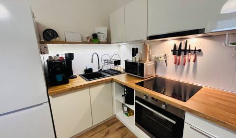 Kiadó 1 szobás lakás, 1 szobás lakás, S. H. Vajanského, Nové Zámky, Sz