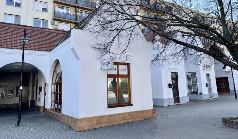 Kiadó Üzlethelység, Üzlethelység, Námestie Ármina Vámberyho, Dunajská