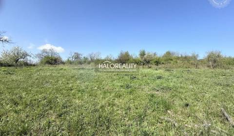 Eladó Kertek, Levice, Szlovákia