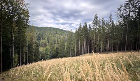 Eladó Mezőgazdasági és erdei telkek, Mezőgazdasági és erdei telkek, Tr