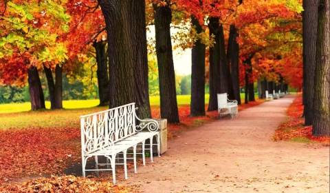 Eladó Telkek beruházóknak, Telkek beruházóknak, Senec, Szlovákia