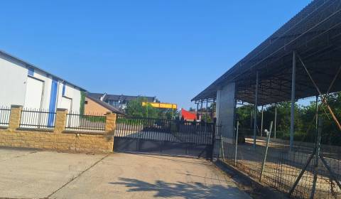 Kiadó Raktárak és ipari épületek, Raktárak és ipari épületek, Senec, S