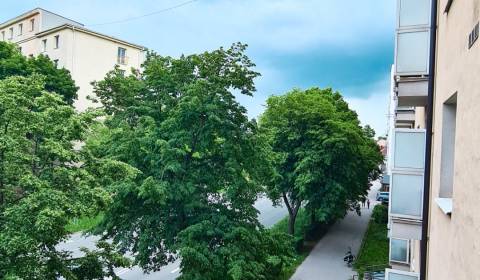 Kiadó 2 szobás lakás, 2 szobás lakás, Rastislavova, Košice - Juh, Szlo