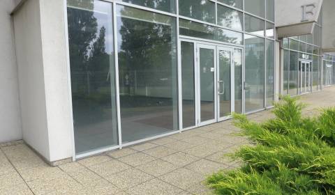 Kiadó Raktárak és ipari épületek, Raktárak és ipari épületek, Bratisla