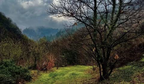 Eladó Mezőgazdasági és erdei telkek, Mezőgazdasági és erdei telkek, Hu