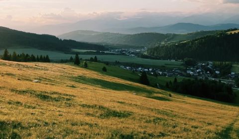 Eladó Mezőgazdasági és erdei telkek, Mezőgazdasági és erdei telkek, Br