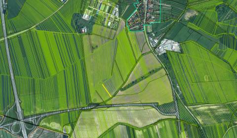 Eladó Mezőgazdasági és erdei telkek, Mezőgazdasági és erdei telkek, Ma