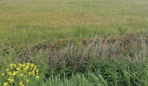 Eladó Telkek - kereskedelmi célra, Telkek - kereskedelmi célra, Sučany