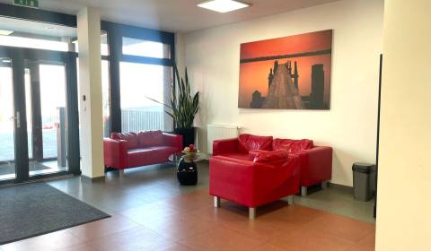 Kiadó Irodahelység, Irodahelység, Pestovateľská, Bratislava - Ružinov,