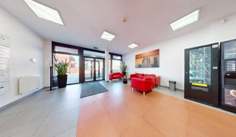 Kiadó Irodahelység, Irodahelység, Pestovateľská, Bratislava - Ružinov,