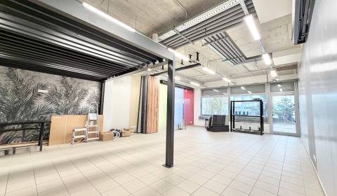 Modern üzlethelyiség eladó Zsolna központjában