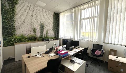 Kiadó Irodahelység, Irodahelység, Trnavská cesta, Bratislava - Ružinov
