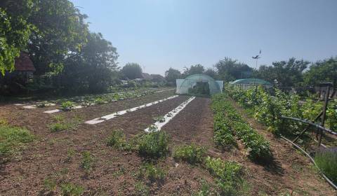 Eladó Építési telek, Építési telek, Nové Zámky, Szlovákia