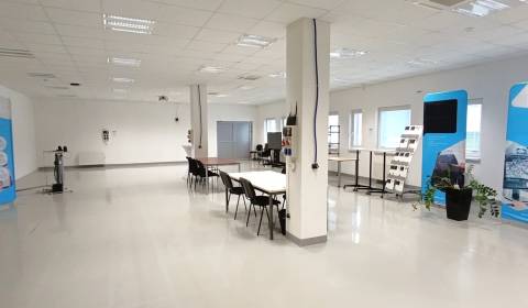 Irodahelység, Univerzitná, Žilina, Szlovákia