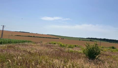 Eladó Építési telek, Építési telek, Nitra, Szlovákia