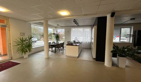 Kiadó Üzlethelység, Üzlethelység, Žilina, Szlovákia