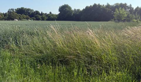 Eladó Építési telek, Építési telek, Topoľčany, Szlovákia