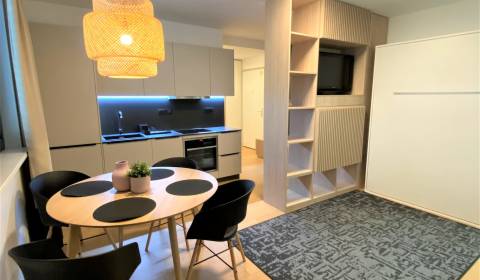 Kiadó 1 szobás lakás, 1 szobás lakás, Radlinského, Bratislava - Staré