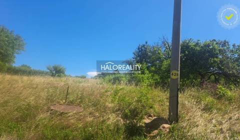 Eladó Kertek, Levice, Szlovákia