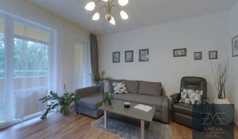 Kiadó 1 szobás lakás, 1 szobás lakás, Antolská, Bratislava - Petržalka
