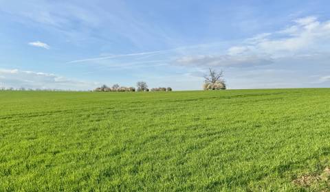 Eladó Mezőgazdasági és erdei telkek, Mezőgazdasági és erdei telkek, Mi