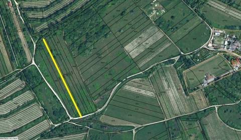 Eladó Szőlőstelkek, Szőlőstelkek, Vtáčikova cesta, Bratislava - Rača, 