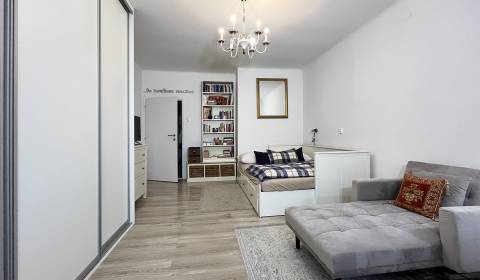 Kiadó 1 szobás lakás, 1 szobás lakás, Prievozská, Bratislava - Ružinov