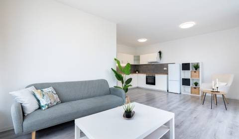 Kiadó 2 szobás lakás, 2 szobás lakás, Veľkomoravská, Trenčín, Szlováki