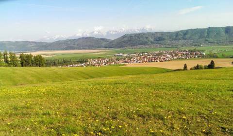 Eladó Mezőgazdasági és erdei telkek, Mezőgazdasági és erdei telkek, Po