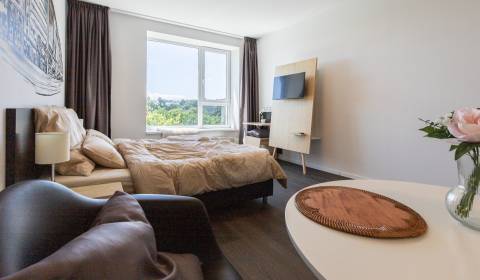 Kiadó 1 szobás lakás, 1 szobás lakás, Žilinská, Bratislava - Staré Mes