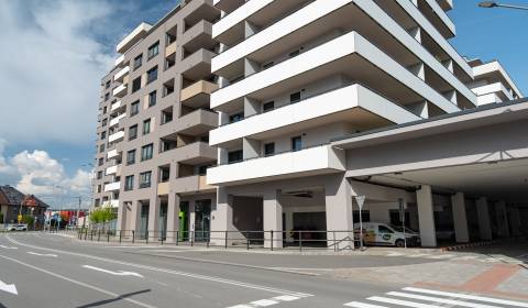 Kiadó 1 szobás lakás, 1 szobás lakás, Alvinczyho, Košice - Staré Mesto