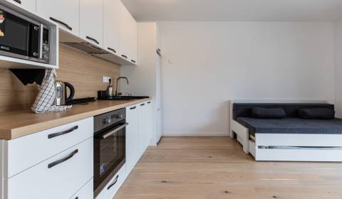 Kiadó 1 szobás lakás, 1 szobás lakás, Košická, Bratislava - Ružinov, S