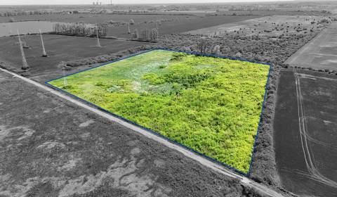 Eladó Mezőgazdasági és erdei telkek, Mezőgazdasági és erdei telkek, Mi