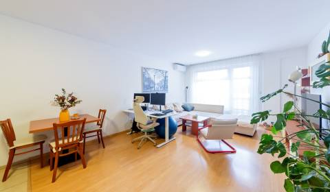 Kiadó 2 szobás lakás, 2 szobás lakás, Záhradnícka, Bratislava - Ružino
