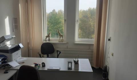 Kiadó Irodahelység, Irodahelység, Studená, Bratislava - Ružinov, Szlov