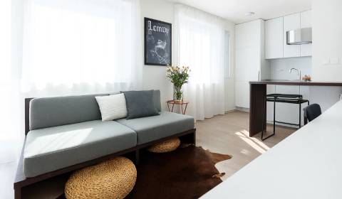 Kiadó 1 szobás lakás, 1 szobás lakás, Jurská, Bratislava - Nové Mesto,