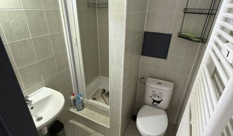 Eladó 1 szobás lakás, 1 szobás lakás, Hviezdoslavova, Prievidza, Szlov