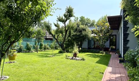 Eladó Családi ház, Családi ház, Dolnomajerská, Senec, Szlovákia