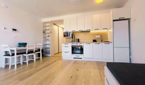 Kiadó 1 szobás lakás, 1 szobás lakás, Košická, Bratislava - Ružinov, S