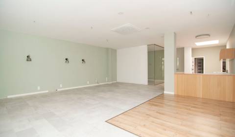 Eladó Üzlethelység, Üzlethelység, Záhradnícka, Bratislava - Ružinov, S