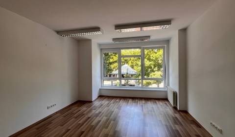 Kiadó Irodahelység, Irodahelység, Hviezdoslavovo nám., Bratislava - St